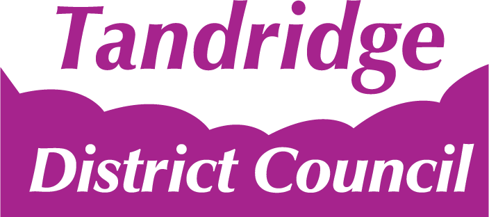 Tandridge logo